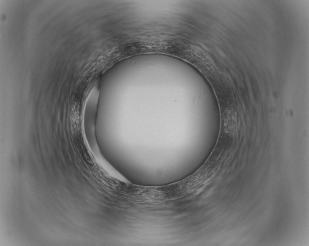 X0000089861298200706280959