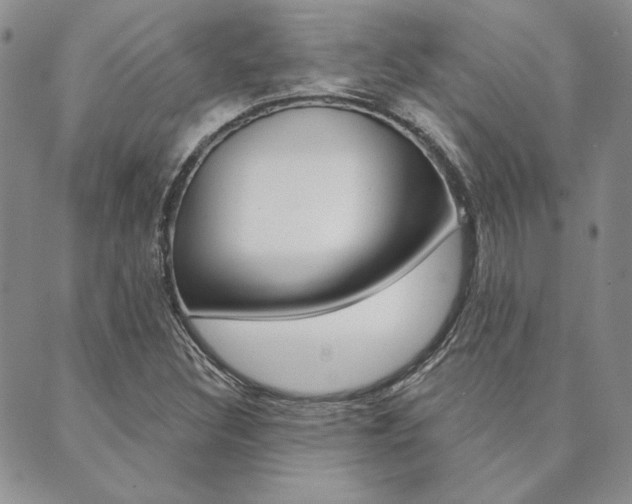 X0000089861308200706280959
