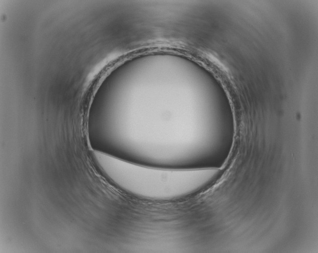 X0000089861310200706280959
