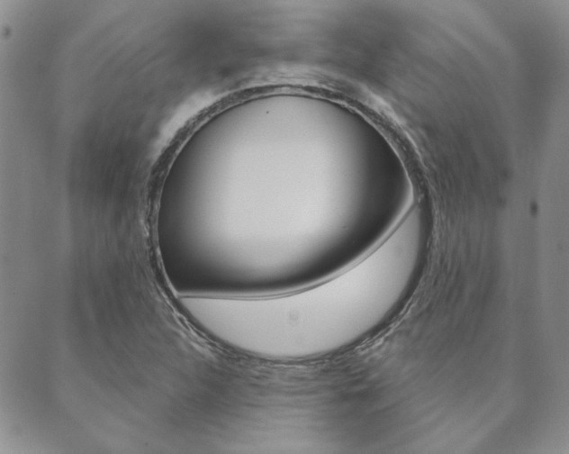 X0000089861312200706280959