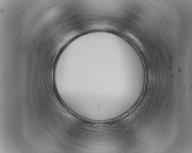X0000089861322200706280959