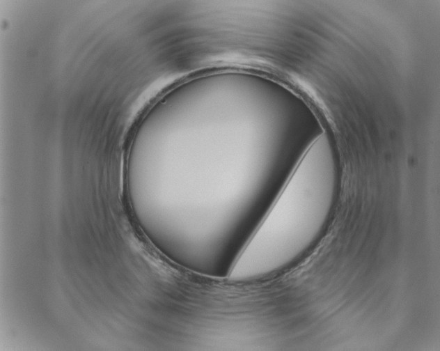 X0000089861323200706280959