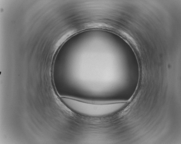 X0000089861330200706281000