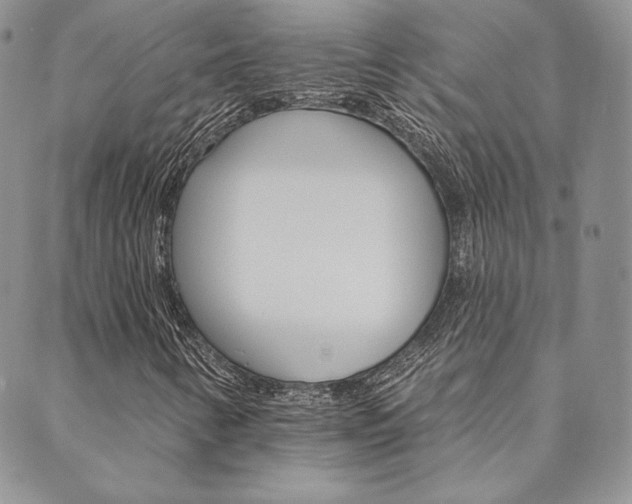 X0000089861346200706280959