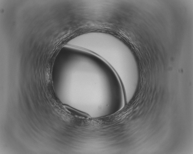 X0000089861348200706280959