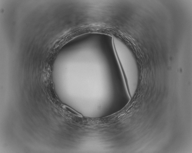 X0000089861349200706280959