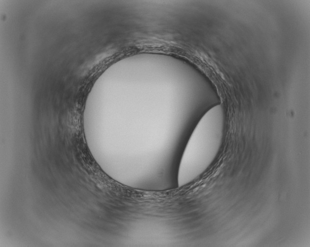 X0000089861350200706280959