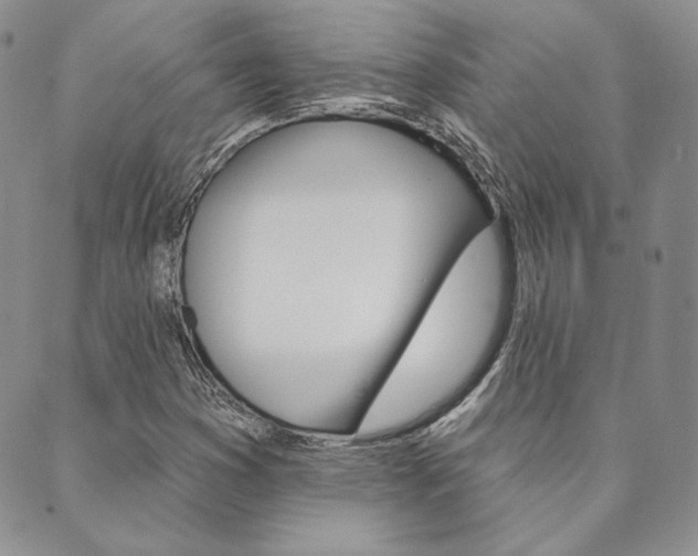 X0000089861353200706280959