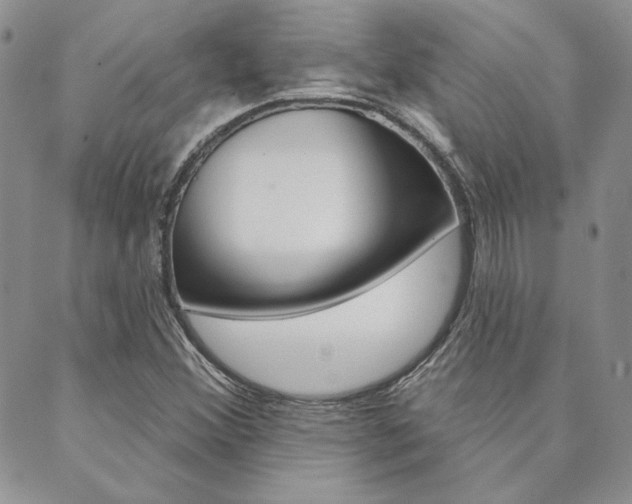 X0000089861356200706280959