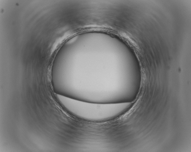 X0000089861357200706280959