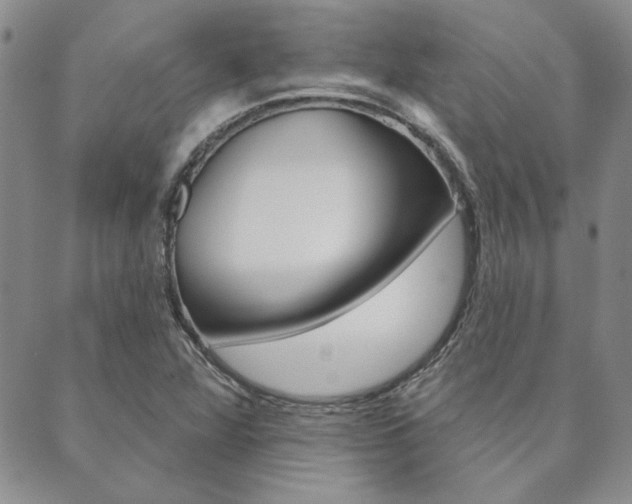X0000089861360200706280959