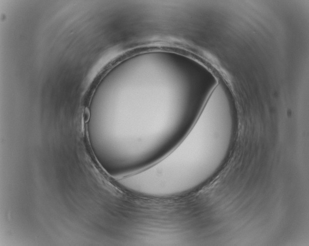 X0000089861368200706280959