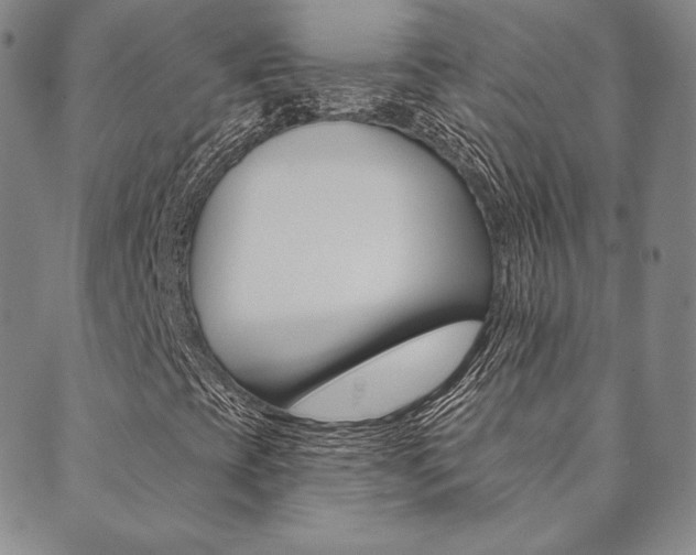 X0000089861393200706280957