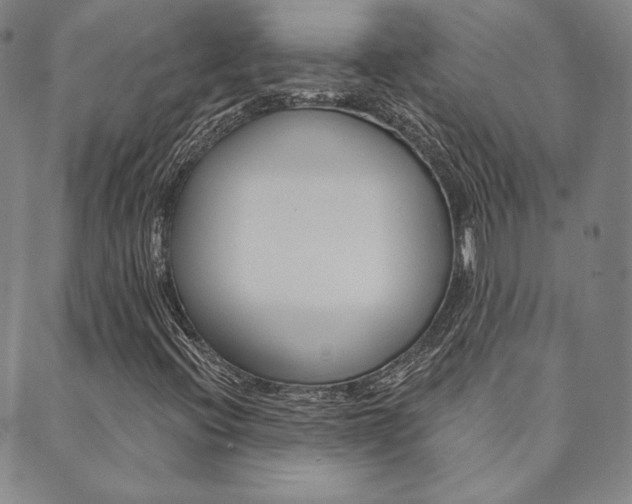 X0000089861396200706280957
