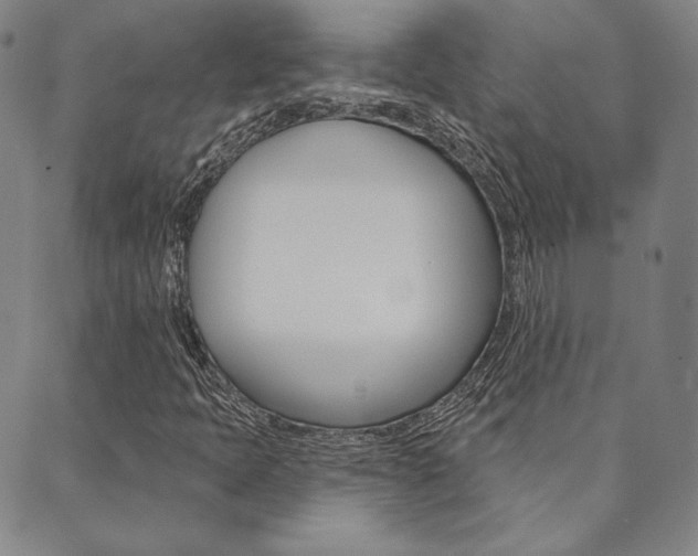 X0000089861397200706280957