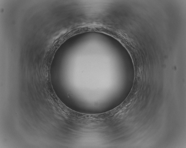 X0000089861398200706280958