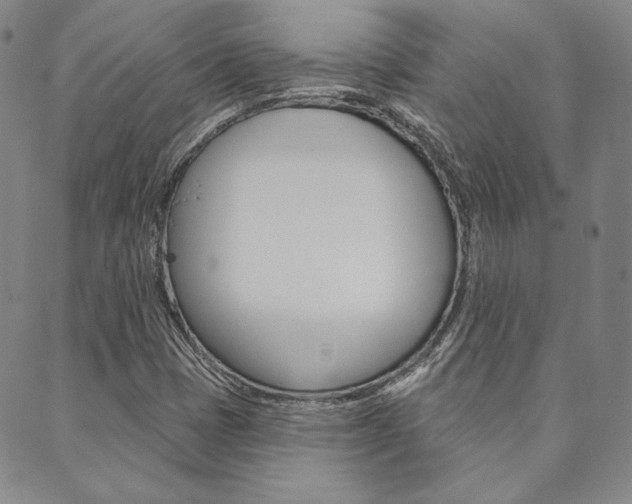 X0000089861401200706280958