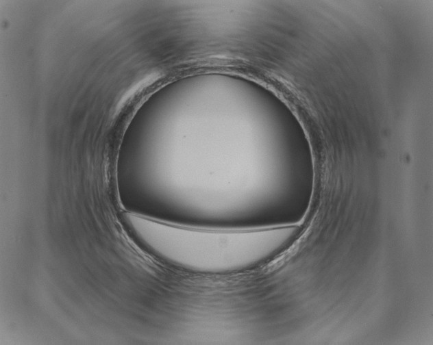 X0000089861402200706280958