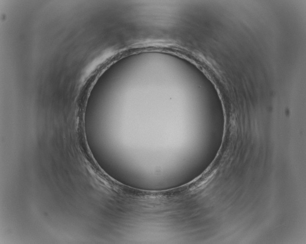 X0000089861406200706280958