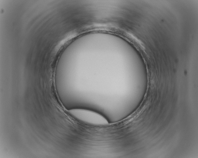 X0000089861411200706280958