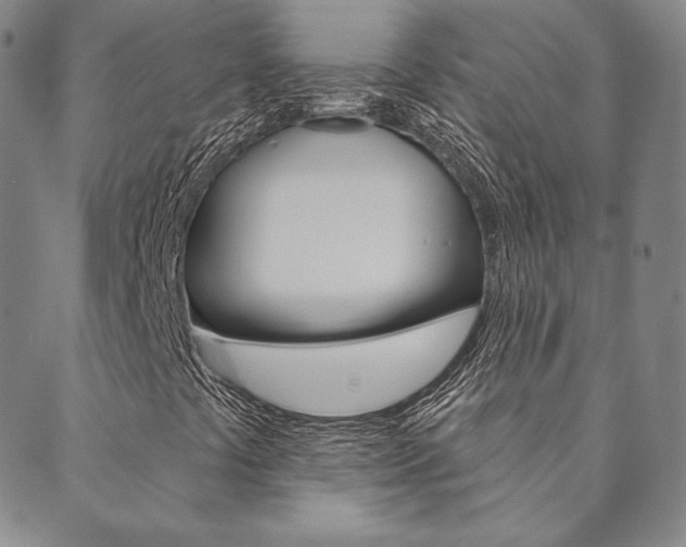 X0000089861441200706280957