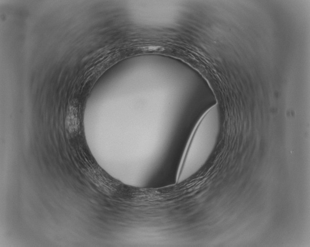 X0000089861442200706280957