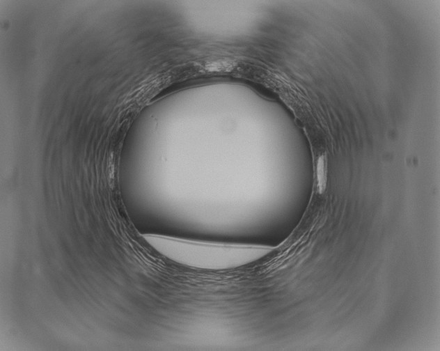 X0000089861443200706280957