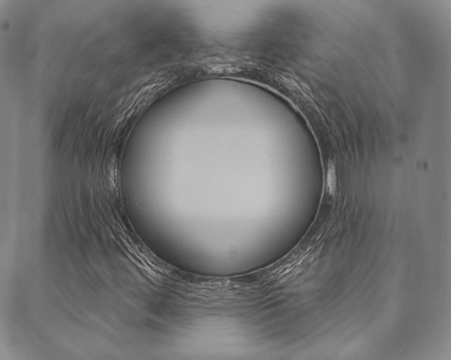 X0000089861444200706280957