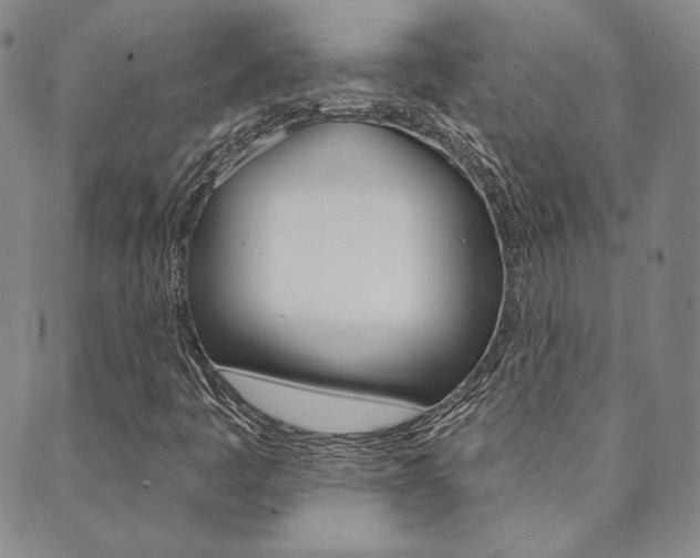 X0000089861445200706280957