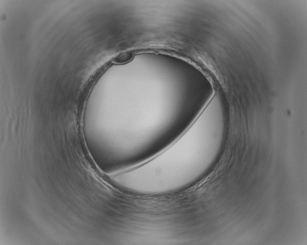 X0000089861452200706280957
