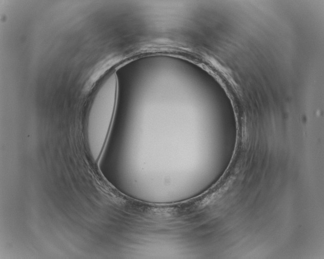 X0000089861453200706280957