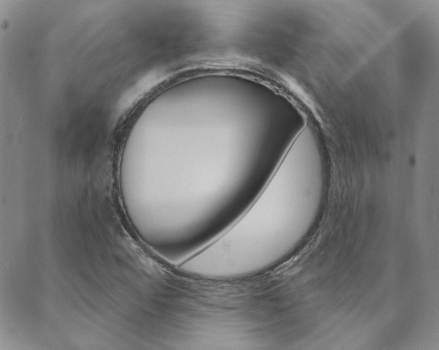 X0000089861456200706280957