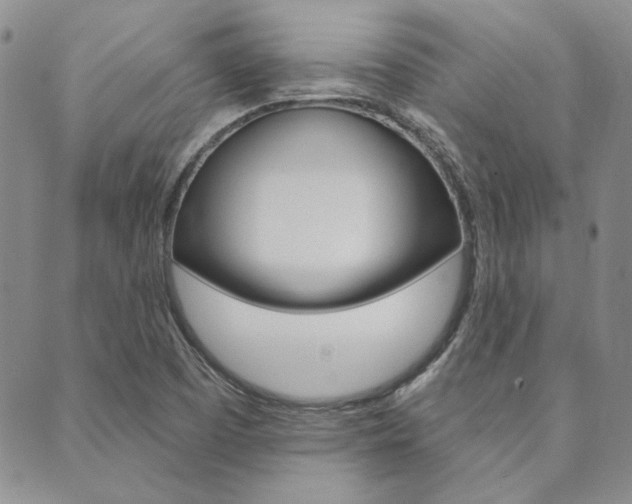 X0000089861457200706280957