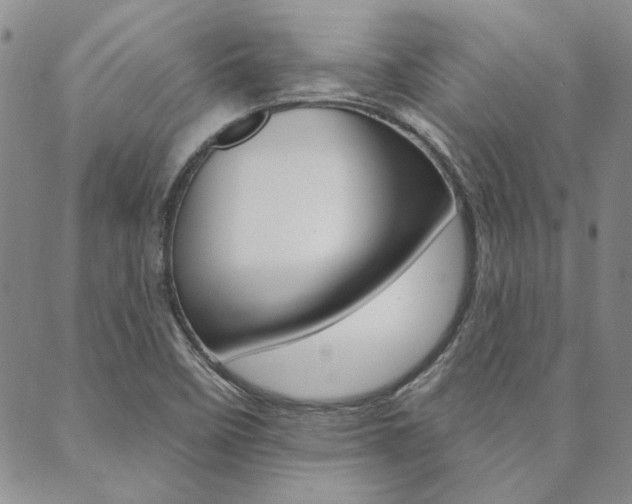 X0000089861458200706280957
