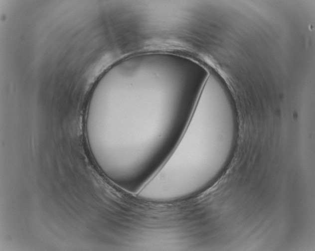 X0000089861459200706280957