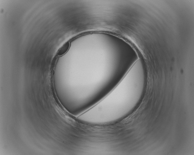 X0000089861460200706280957