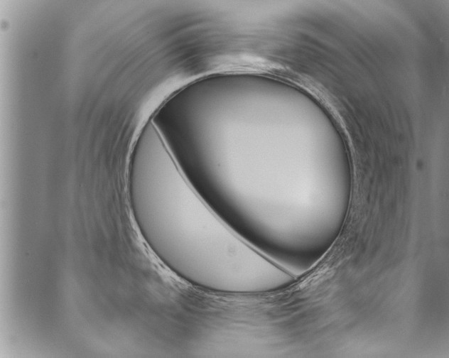 X0000089861488200706280957