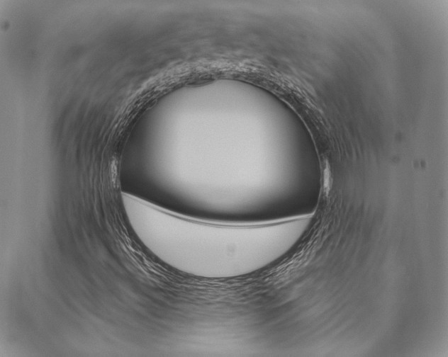 X0000089861492200706280956