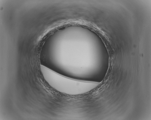 X0000089861496200706280956