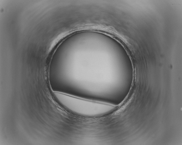 X0000089861501200706280956