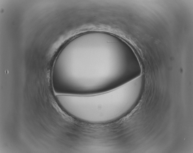 X0000089861503200706280956