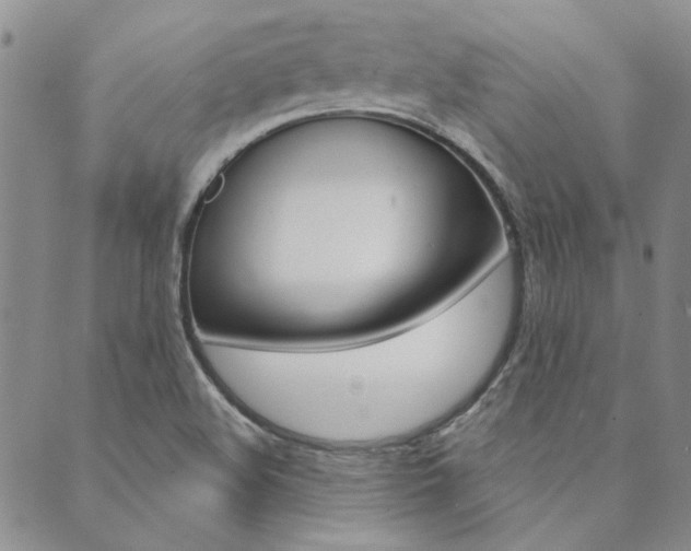X0000089861508200706280956