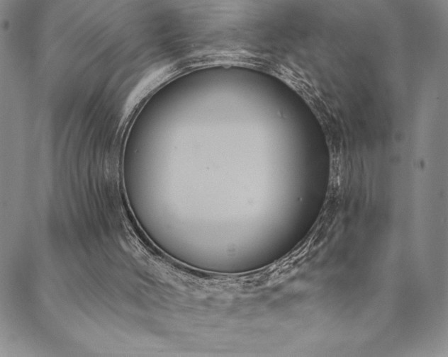 X0000089860004200706281302