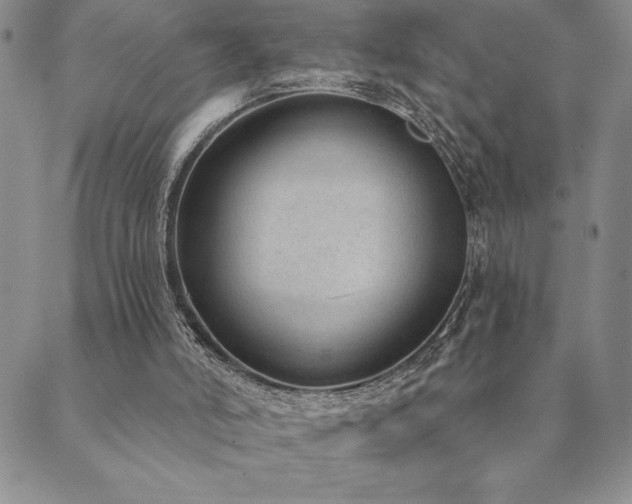 X0000089860006200706281302