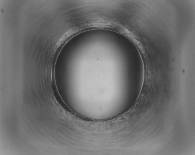 X0000089860011200706281302