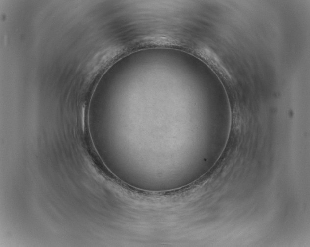 X0000089860014200706281302