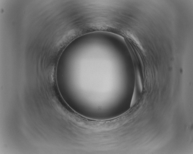 X0000089860023200706281302