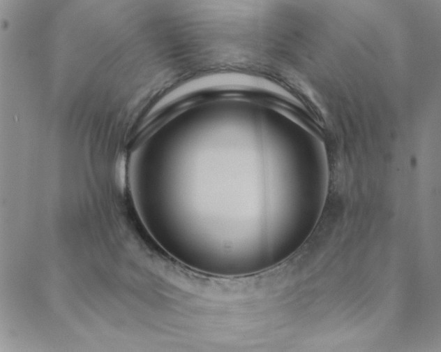 X0000089860027200706281302