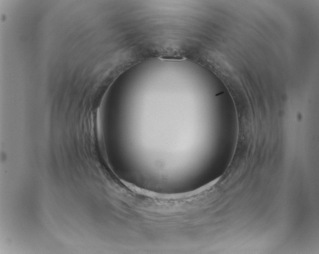 X0000089860037200706281302