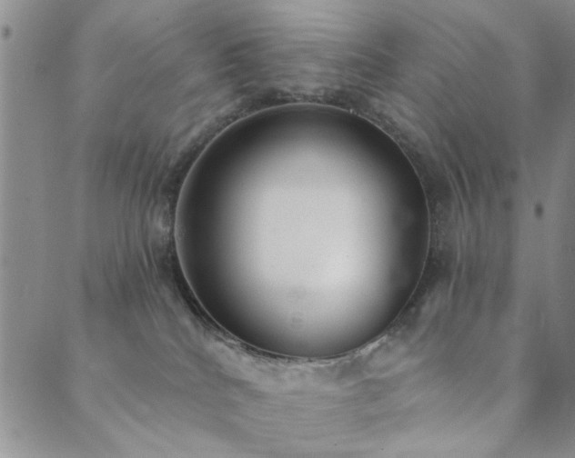 X0000089860040200706281302